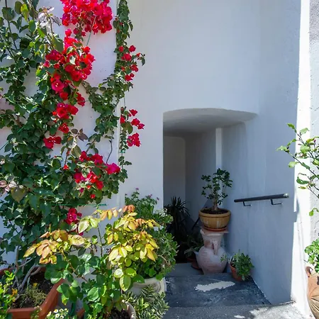 Apartman Casalina Center *